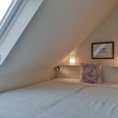 App_ Kolibri Morsum (Sylt)